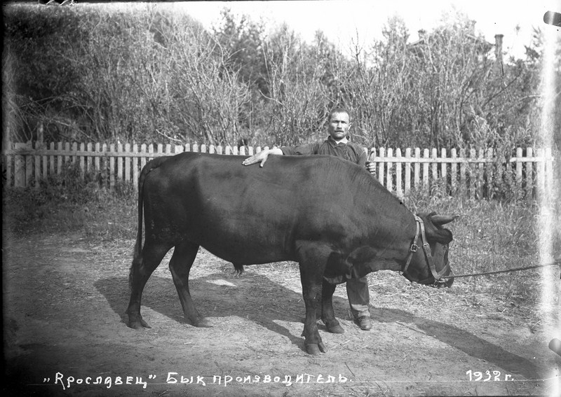 Смодор Михаил Маркович