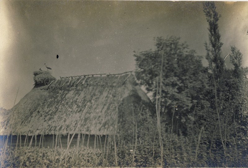 фотографии поручика Зотова&nbsp;В.М.