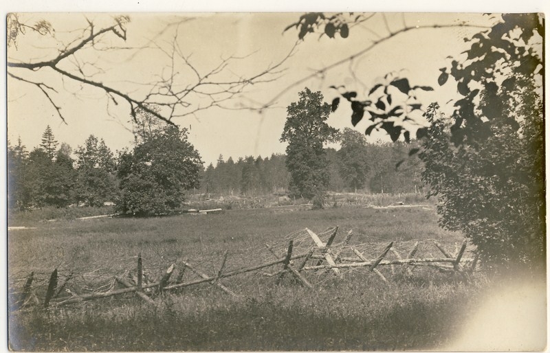 фотографии поручика Зотова&nbsp;В.М.